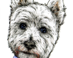 Toby the Westie (2022)