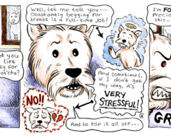 Tik & Flea 1 Colour (2024)